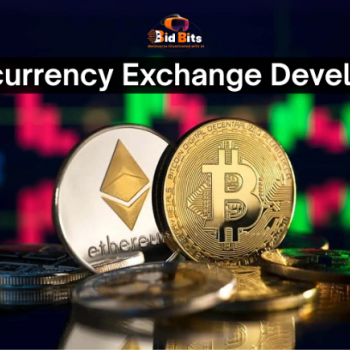 Best Cryptocurrency Exchange Development Services provider In USA