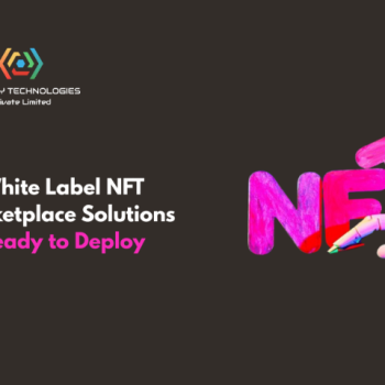 White Label NFT Marketplace Solutions Ready to Deploy