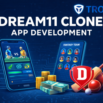 Custom Dream11 Clone App Development for Startups