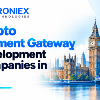 Custom Crypto Payment Gateway Development Companies in UK