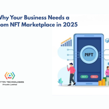 Custom and White Label NFT Marketplace Development Experts