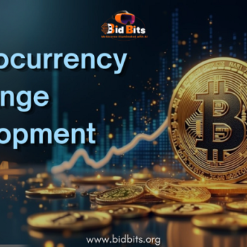 Top Cryptocurrency Exchange Development Services provider In USA